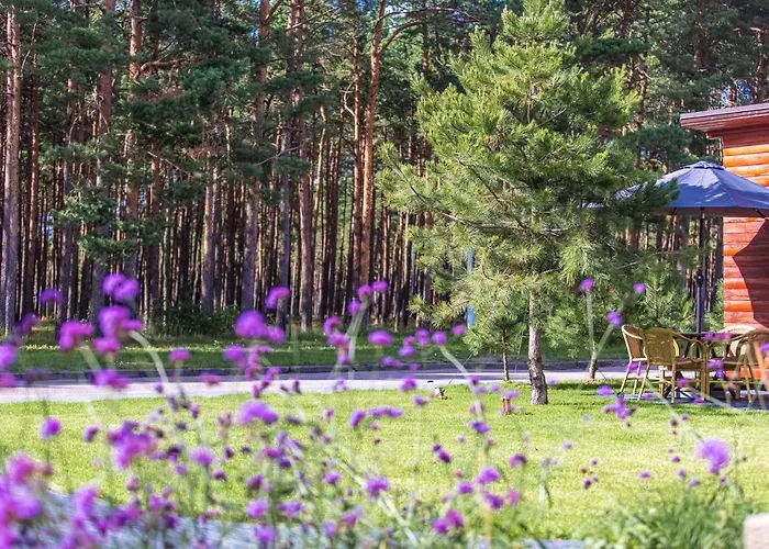 Гостьовий будинок N-22 Паланга