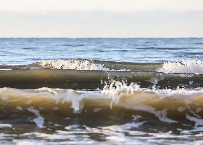 N-22 3* Паланга